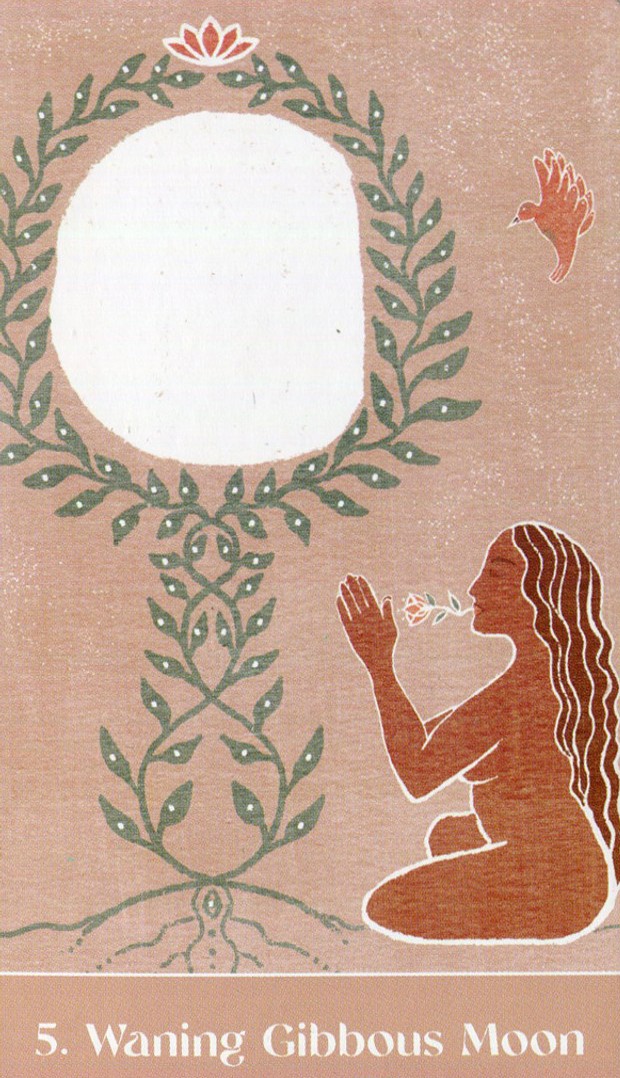 The Sacred Cycles Oracle Cards